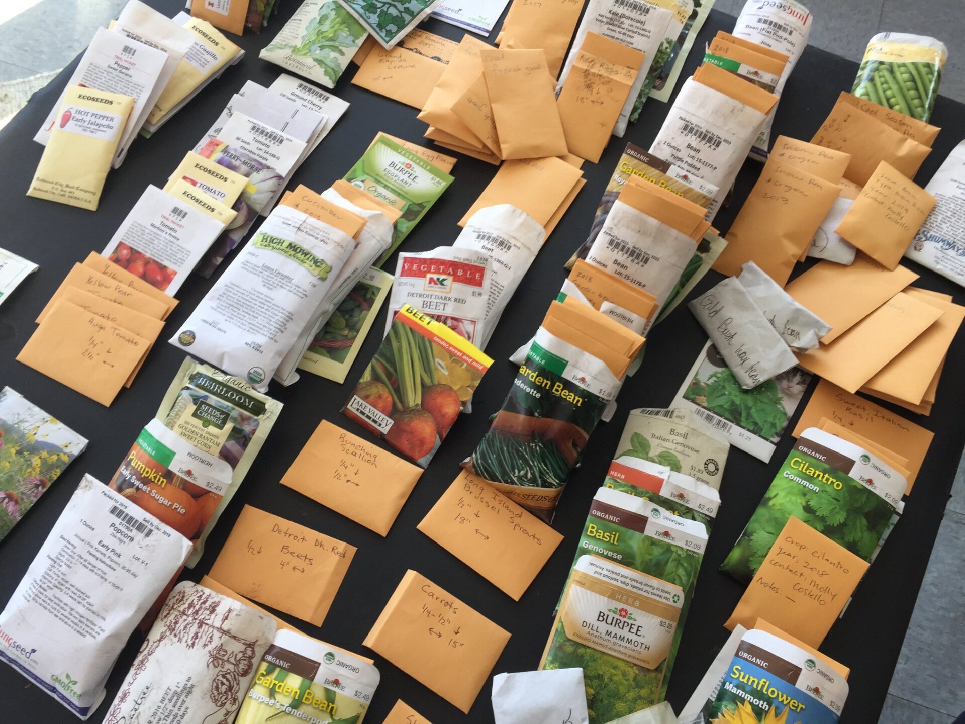 Bringing Nature Home: Exploring Chicago’s Seed Library